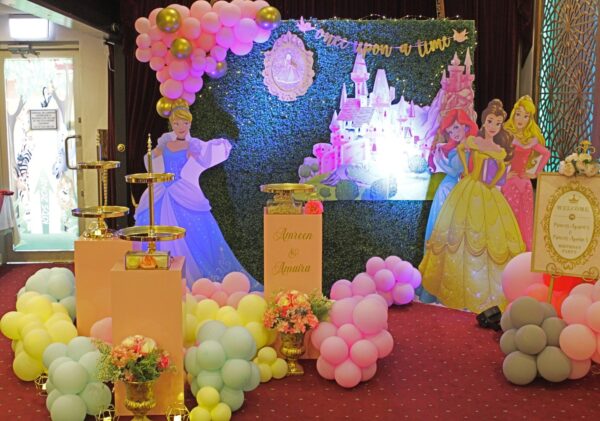 Disney Princess Birthday Package